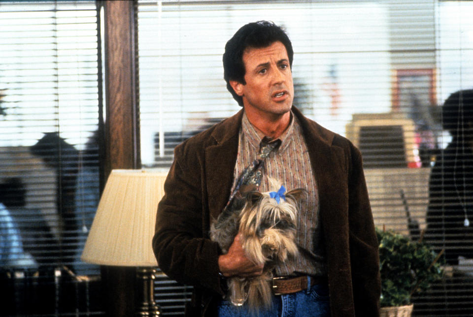 Sylvester Stallone holds a dog in a scene from the film 'Stop! Or My Mom Will Shoot', 1992. (Photo by Universal/Getty Images)