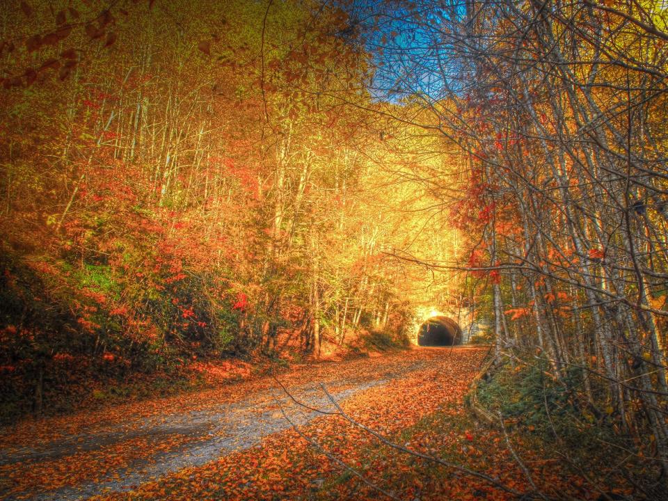 gsmnp-road-to-nowhere2.jpg