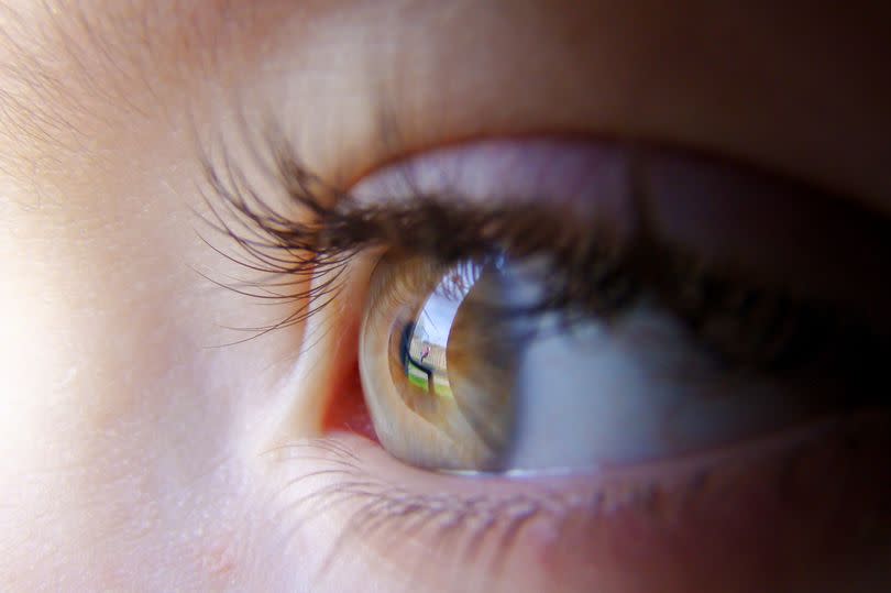 A young person's eye and iris