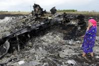 A local resident stands among the wreckage at the site of the crash of a Malaysia Airlines plane in Grabove, in rebel-held east Ukraine, on July 19, 2014