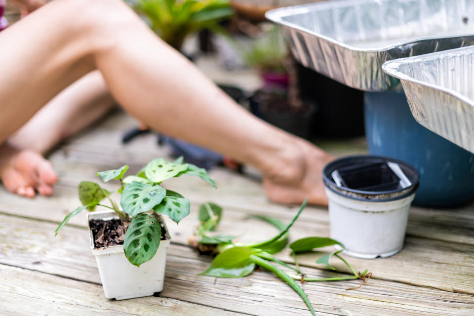 There has been a rise in naturism of late, just in time for World Naked Gardening Day. (Getty Images)