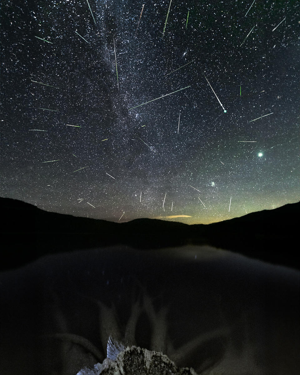 A meteor shower is pictured against a starry sky and picturesque foreground