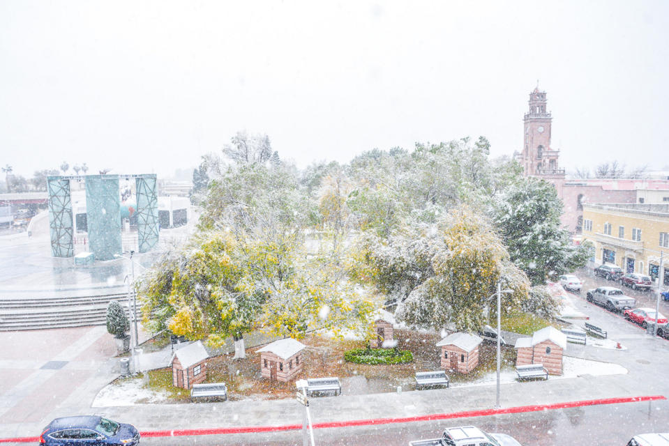 FOTOS: Así han sido las nevadas en el norte de México