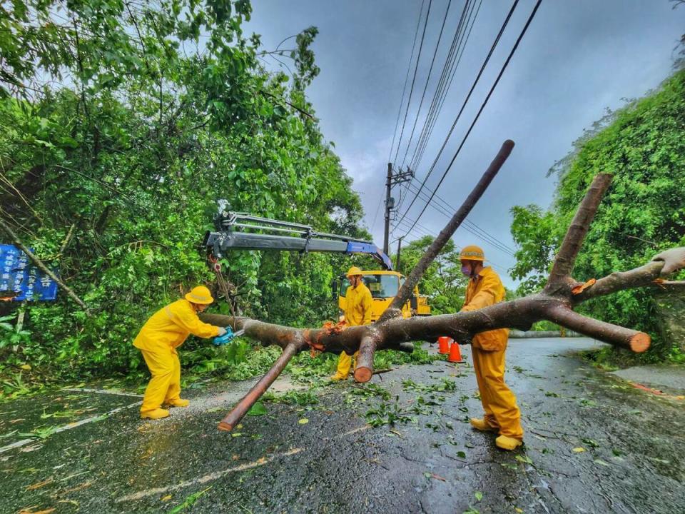 台電人員移除倒塌的路樹。   圖：台電高雄區處提供