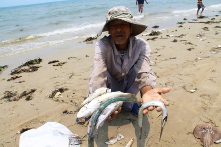 Taiwanese conglomerate Formosa, which runs a steel mill in the Phu Loc district where the fish have died, is widely suspected of being the cause of the mass deaths