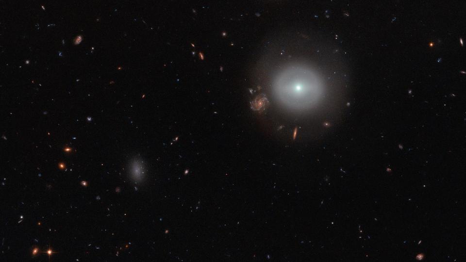 NASA/ESA Hubble'i kosmoseteleskoobi Advanced Camera for Surveys (ACS) pildistatud stseen näitab PGC 83677, läätsekujulist galaktikat – galaktikatüüpi, mis paikneb tuttavama elliptilise ja spiraalse kuju vahel.