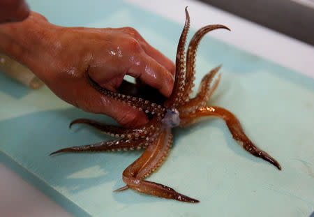 A chef prepares a flying squid to make sashimi at a seafood restaurant in Tokyo, Japan, September 27, 2018. REUTERS/Issei Kato/Files