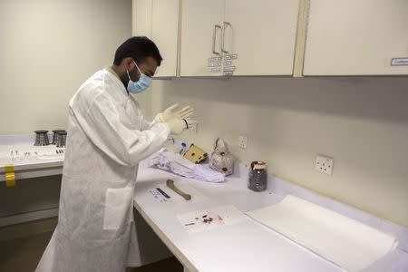 A forensic scientist prepares to analyze bones recovered from a woman's body in the DNA and Serology department at Punjab Forensic Science Agency in Lahore January 13, 2015. REUTERS/Zohra Bensemra