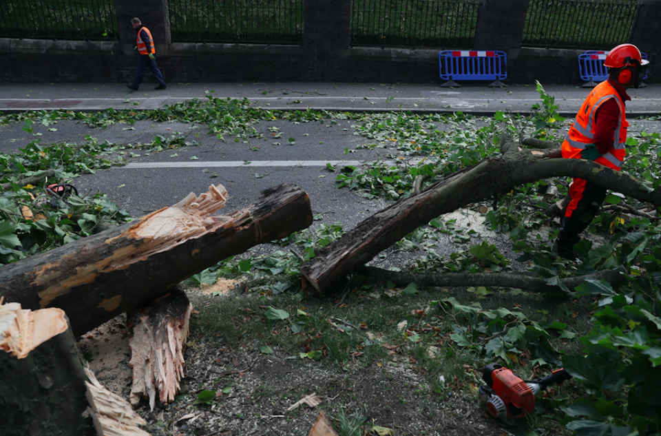 <em>The storm brought down several trees across the region (PA)</em>