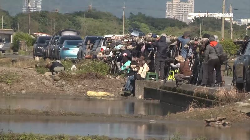 許多賞鳥人士慕名而來，準備好相機、角架捕捉稀有嬌客。