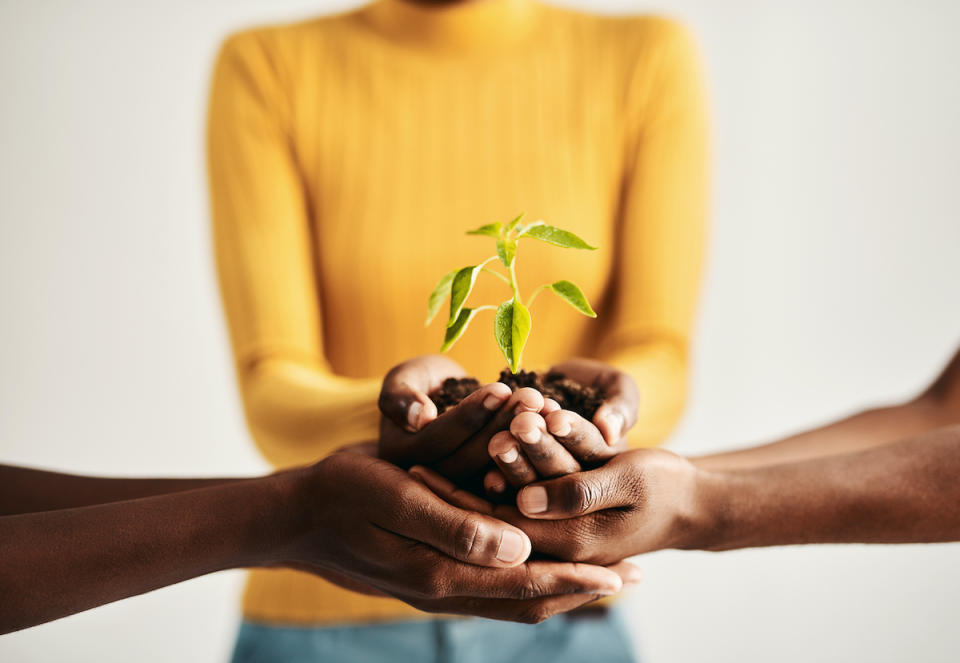 Shot of a group of people holding plants growing out of soil