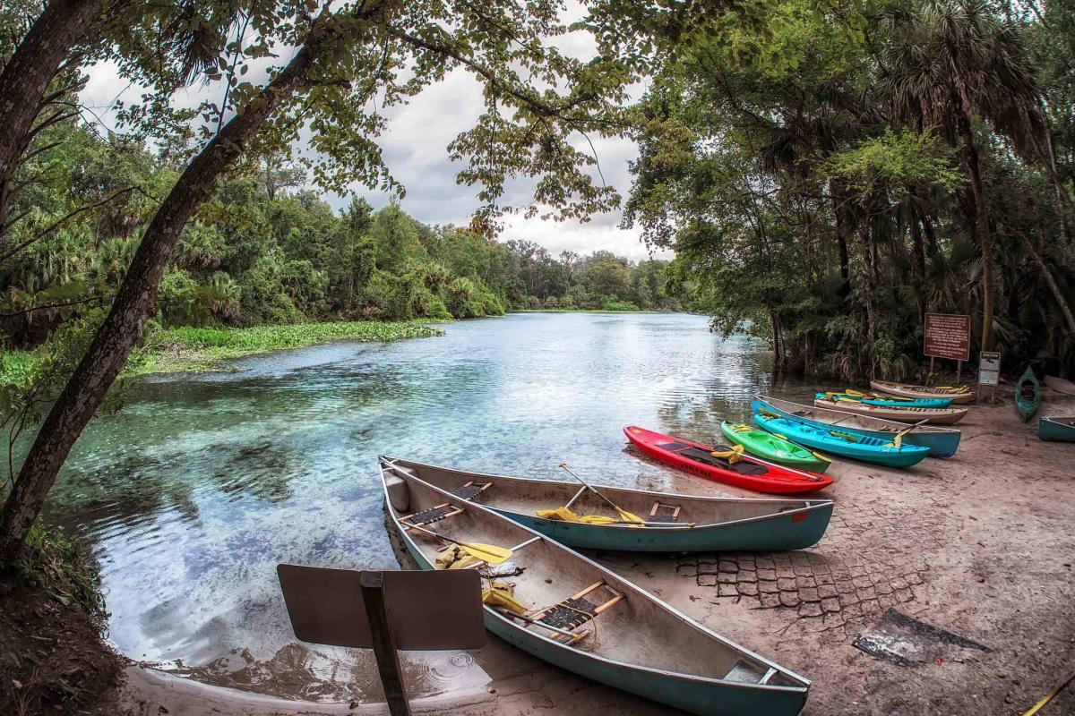 These 12 Fresh Water Springs Have The Clearest Water In Florida