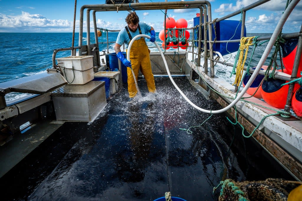 Fisherman Jack Bailey, 25, washes down the deck after a day’s fishing aboard his boat, White Waters, off the coast of Jersey (Ben Birchall/PA) (PA Wire)