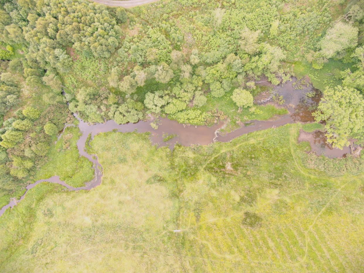 Drone footage of the enclosure after the beavers where released