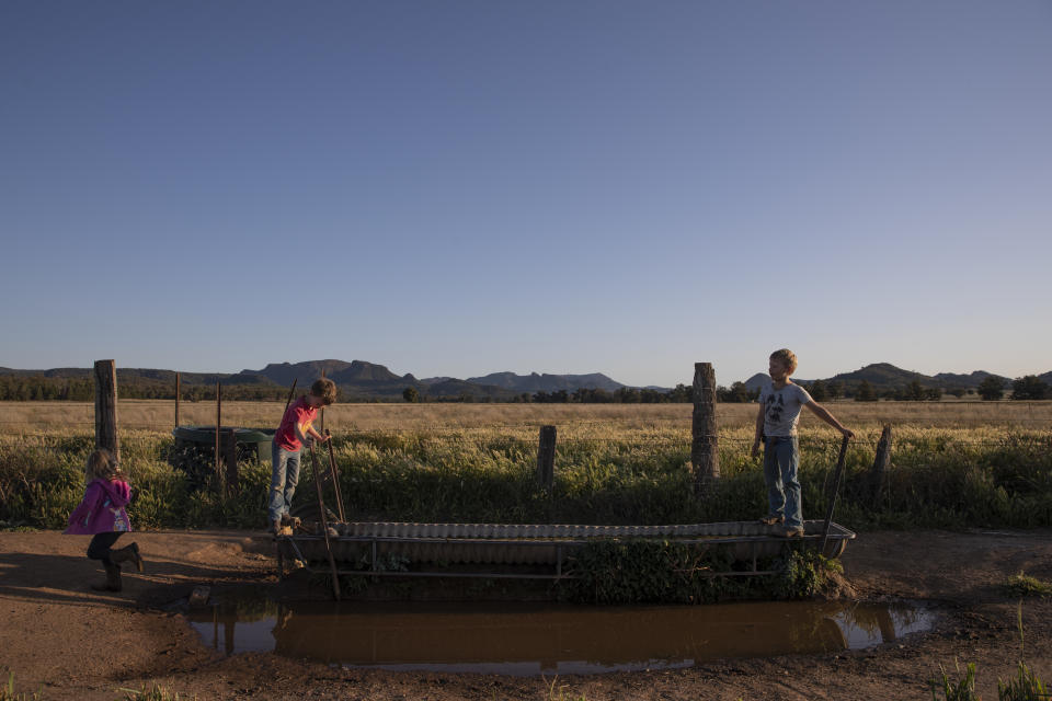 Kids play around on the family farm at dusk.