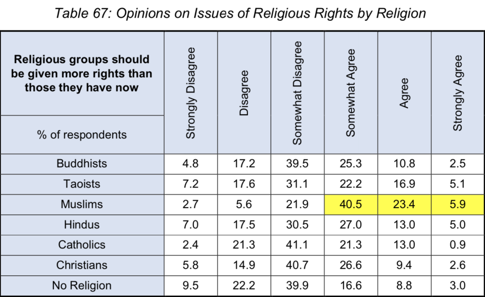 The survey by the IPS was conducted between August last year and January this year and involved 4,015 respondents. Part of the findings - involving race, religion and language - were released in July.