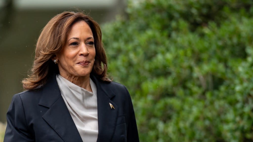 Kamala Harris: Did Netflix Donate to Her Campaign? Cancel Controversy ...