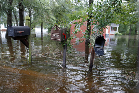 Floodwater rises on mailboxes in the Mayfair community during Tropical Storm Florence in Lumberton, North Carolina, U.S. September 16, 2018. REUTERS/Randall Hill