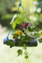 <p>With the quest for plastic-free living becoming a major focus, switch to biodegradable plant pots (using materials such as coconut husks, wood chips, rice husks, miscanthus or seaweed) for the new season. These can then be added straight to the compost when they’re no longer needed.</p><p>The garden is a great place to re-use household plastic products which you would otherwise chuck away. Plastic water bottles can make a statement hanging planter, just cut open one side, fill with compost and plant seedlings, then hang horizontally with heavy duty string, suggests The Greenhouse People.</p>