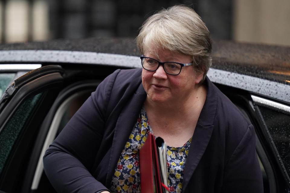Environment Secretary Therese Coffey arrives in Downing Street (PA)