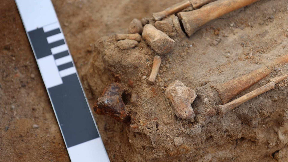 Close up scaled image of child's skeleton in a 17th century grave.