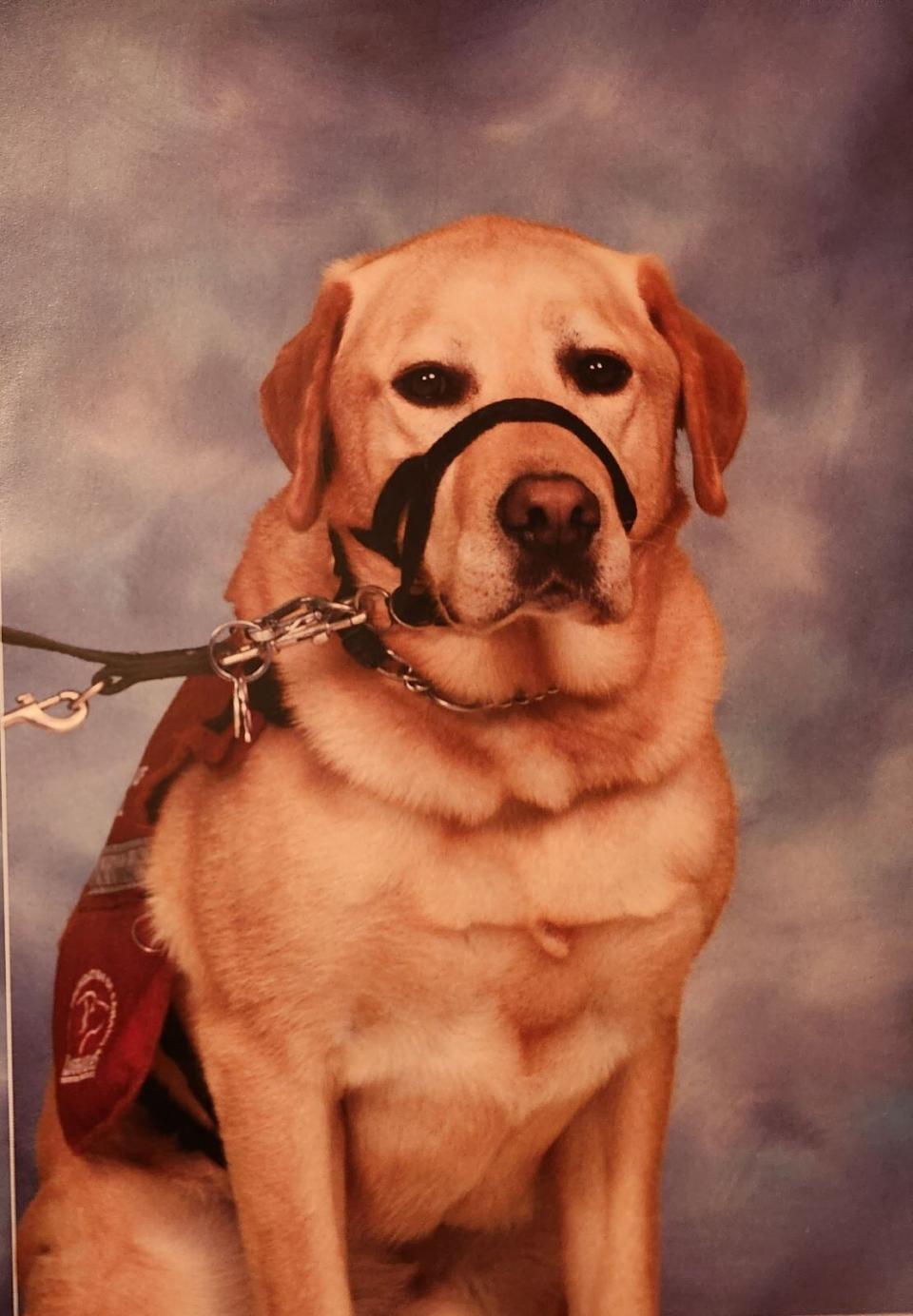 Kito the dog even gets a school portrait at Pasadena Elementary.