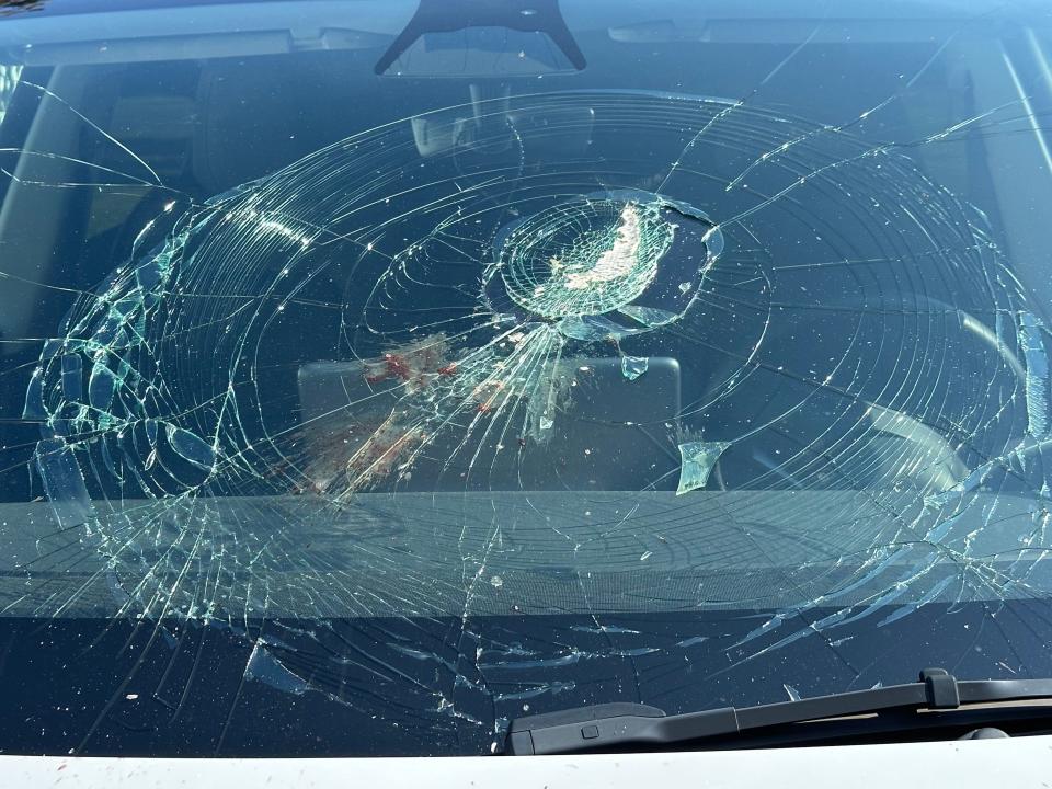 A fish fell out of the sky and smashed the windshield of a car owned by Jeff and Cynthia Levine of Atlantic Highlands.