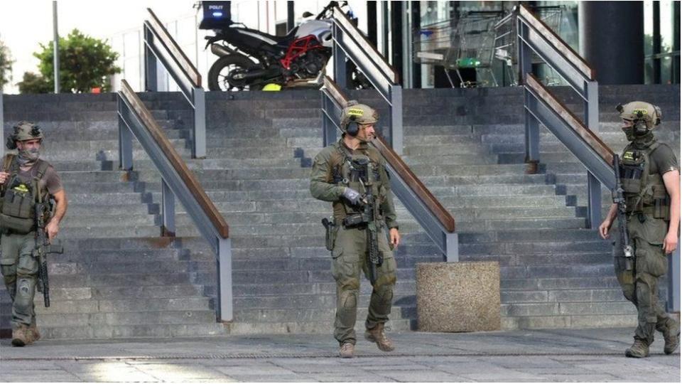 丹麥警方稱，購物中心襲擊嫌疑人被捕時持有步槍和彈藥。