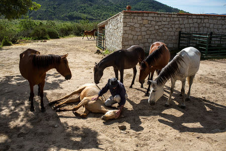 Fernando Noailles, emotional therapist, caresses one of his horses in Guadalix de la Sierra, outside Madrid, Spain, May 31, 2016. Noailles uses his animals to help people suffering from stress and anxiety. REUTERS/Juan Medina