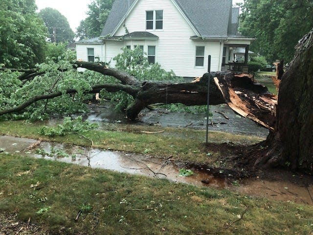 A 35-foot part of a silver maple tree lays over Keys Avenue after the June 29, 2023, derecho and storms. Homeowner Tom Suter believed the damage could have come from a lightning strike.
