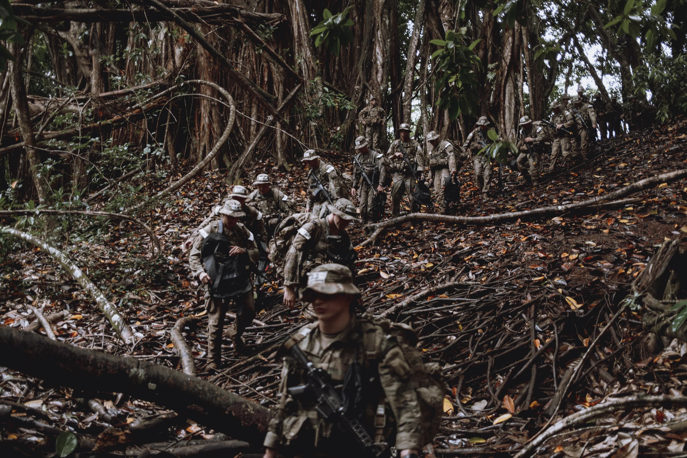 A group of soldiers at the Army’s jungle training school make their way through the forest, on the Hawaiian island of Oahu, Nov. 29, 2023. (Mark Abramson/The New York Times)