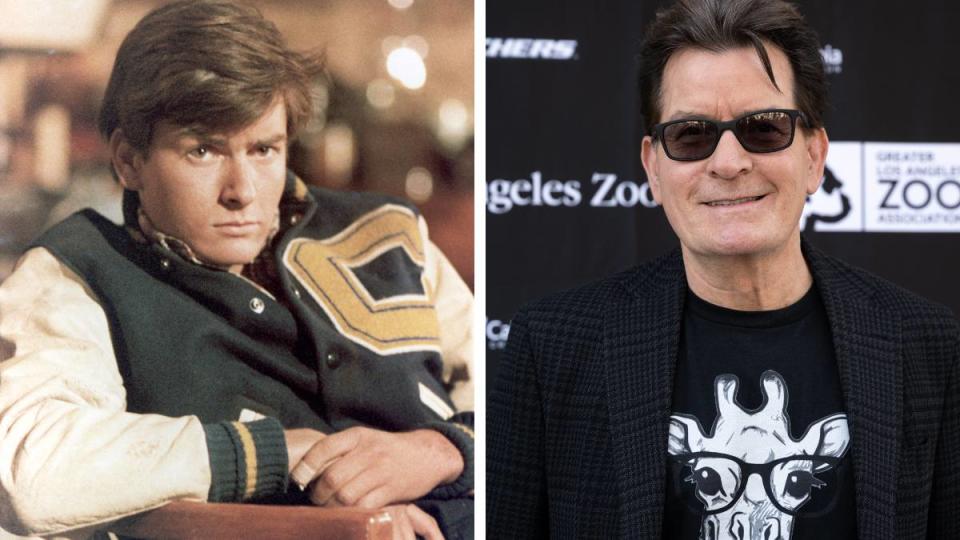 Charlie Sheen as Matt Eckert