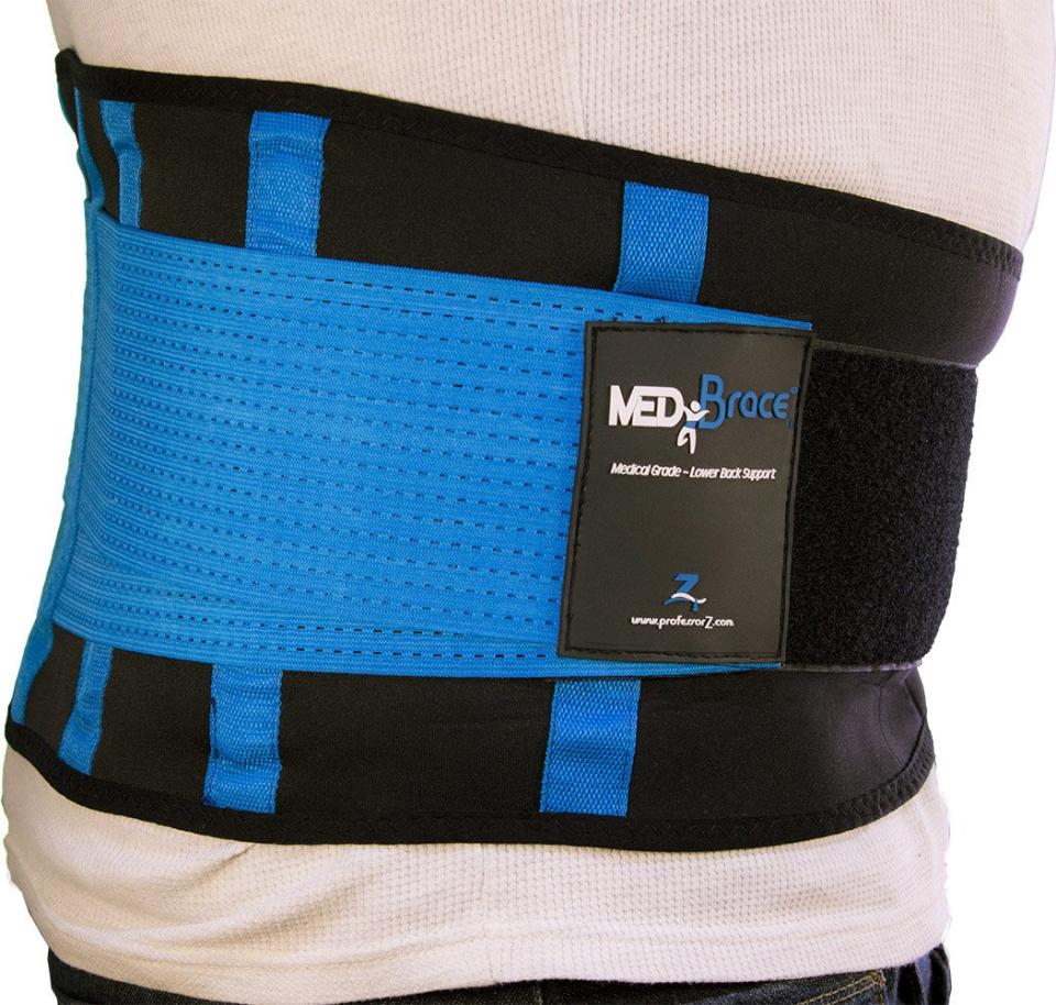 back support belts professorz