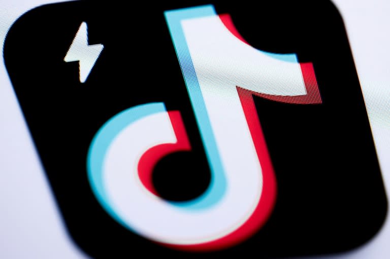 TikTok Lite arrived in France and Spain in March allowing users aged 18 and over to earn points that can be exchanged for goods (Kiran RIDLEY)