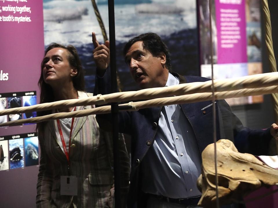 Dr. Martin Nweeia (R) and Pamela Peeters (L) view narwhal tusks during a preview of The Smithsonian's National Museum of Natural History's new exhibit titled 