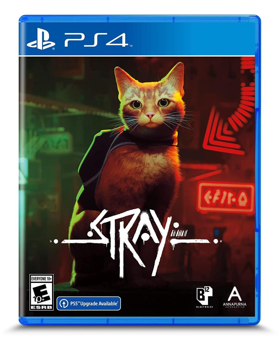 stray video game