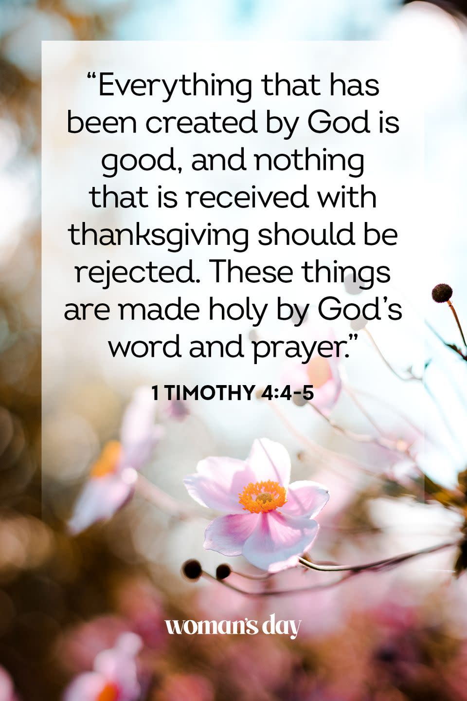 1 Timothy 4:4-5