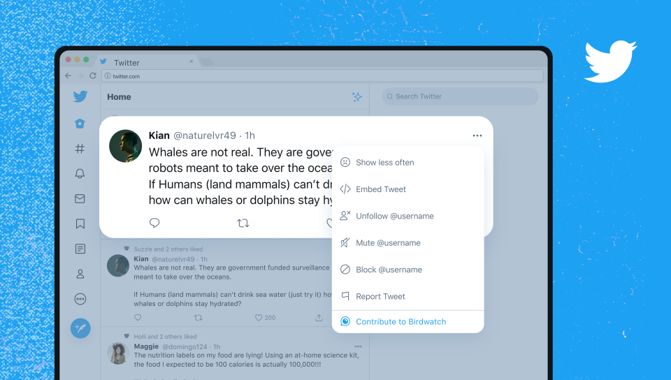 Twitter's new Birdwatch feature.