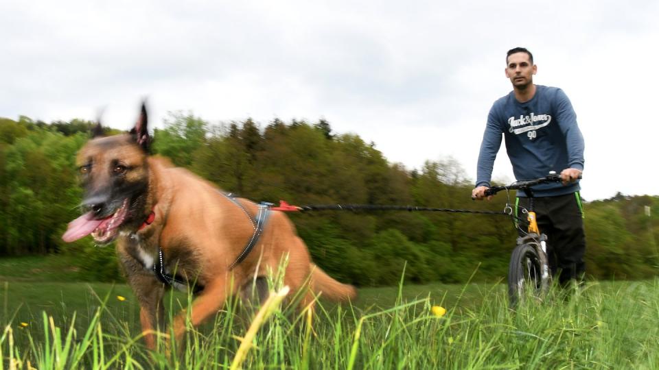 Erst der Hund, dann das Herrchen: Mario Reitz lässt sich von seiner Schäferhündin Kira ziehen. Foto: Harald Tittel