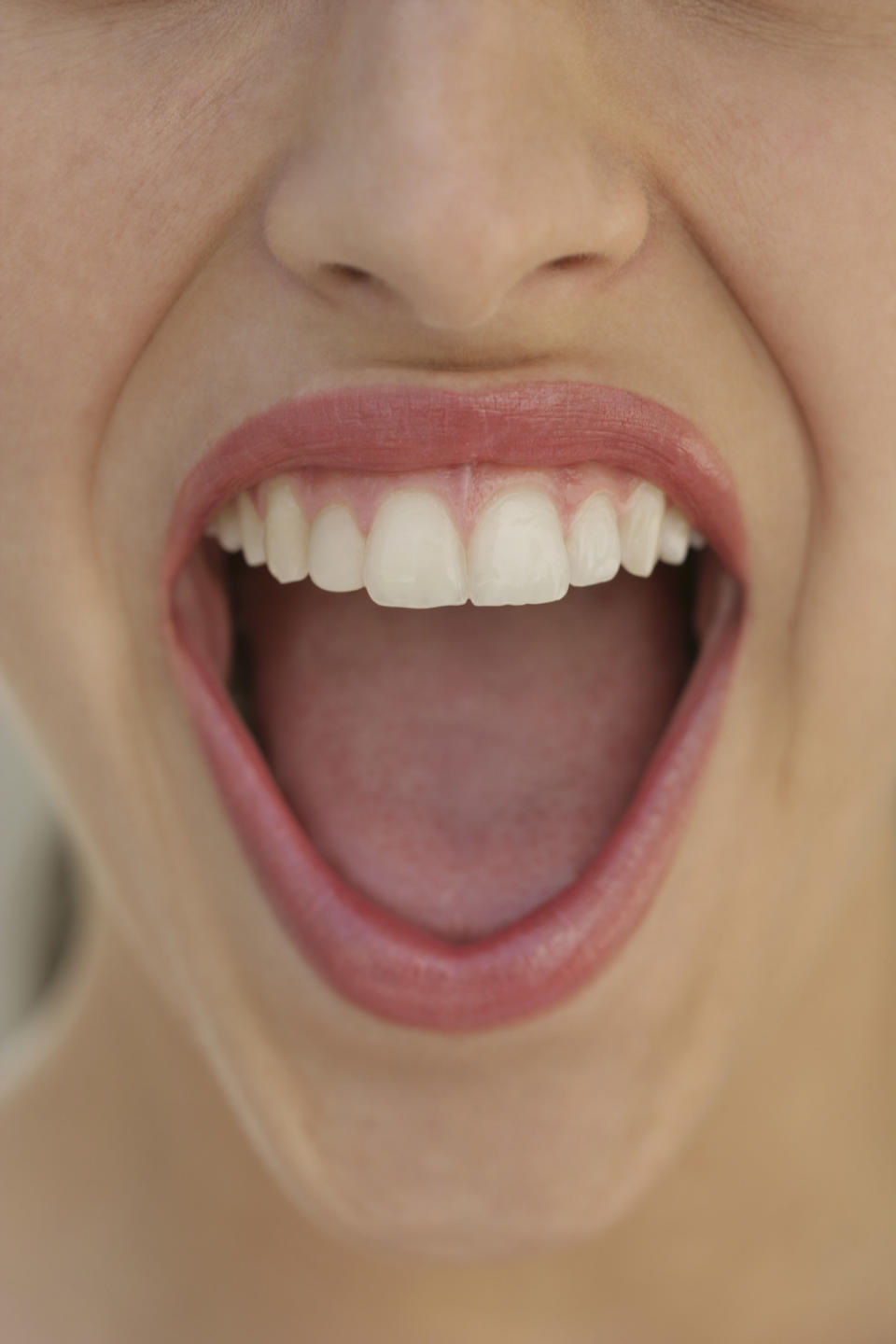 Close-up of an open mouth