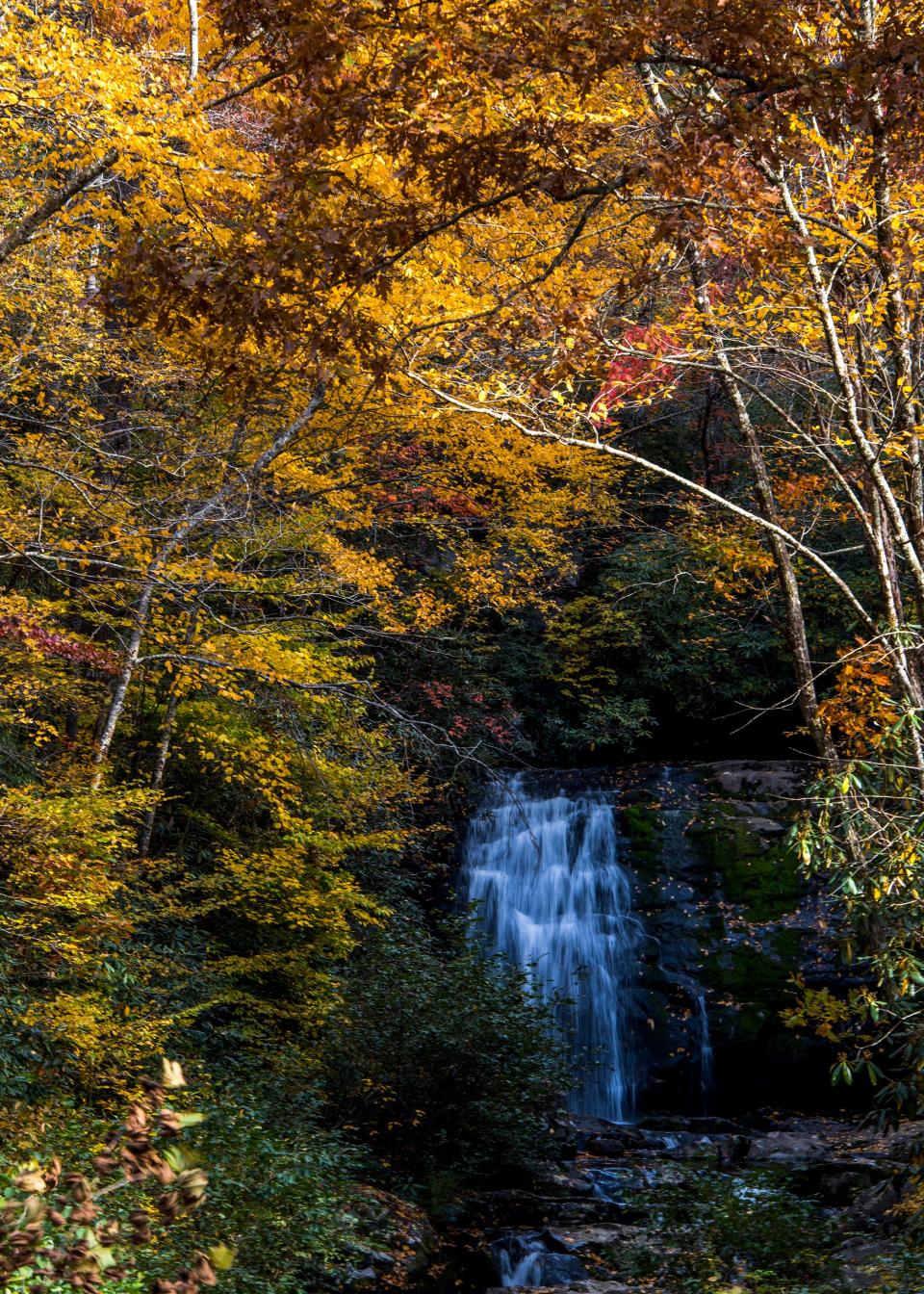 Fall foliage surrounds Meigs Falls in Great Smoky Mountains National Park on Nov. 4, 2018.