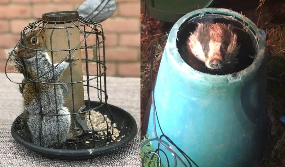 Rescuers at the RSCPA have revealed the most bizarre predicaments animals have got themselves into this year (RSPCA/PA)