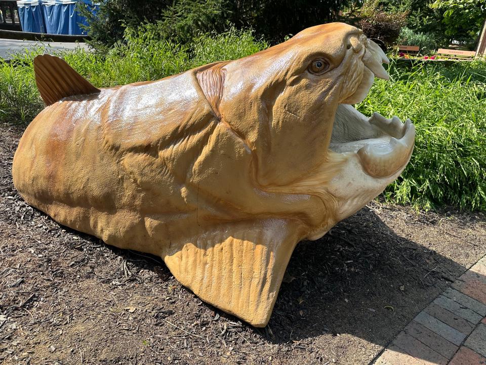 A life-size sculpture of Dunkleosteus terrelli ("the Dunk"), Ohio's official state fossil fish, will be displayed in the Natural Resources Park at the Ohio State Fair.