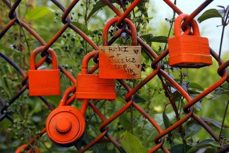 Locks hang on a fence along the Cliff Walk in Newport, Rhode Island July 14, 2015. REUTERS/Brian Snyder