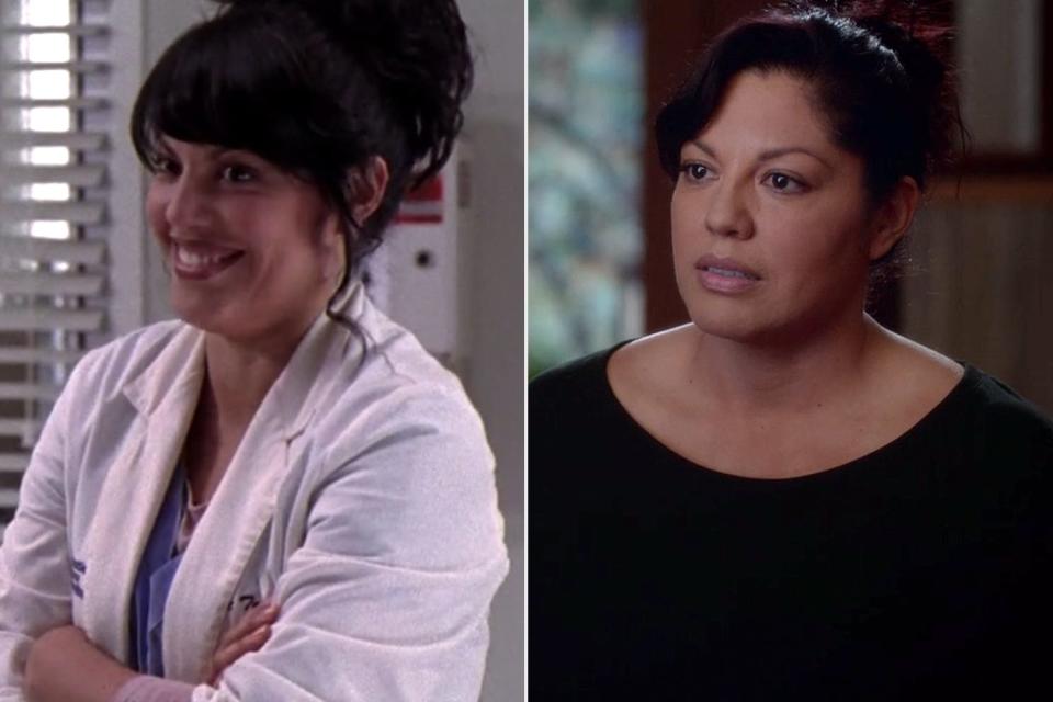 Sara Ramírez as Callie Torres