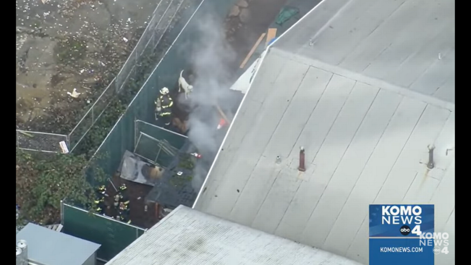 Firefighters battle a blaze at a doggy daycare while rescuers help corral loose dogs outside. (KOMO News)