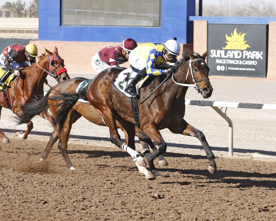 The Todd Fincher-trained Candy Aisle will be a favorite to win next month's Sunland Oaks after winning a key prep race on Friday, Jan. 19, 2024 at Sunland Park Racetrack & Casino.