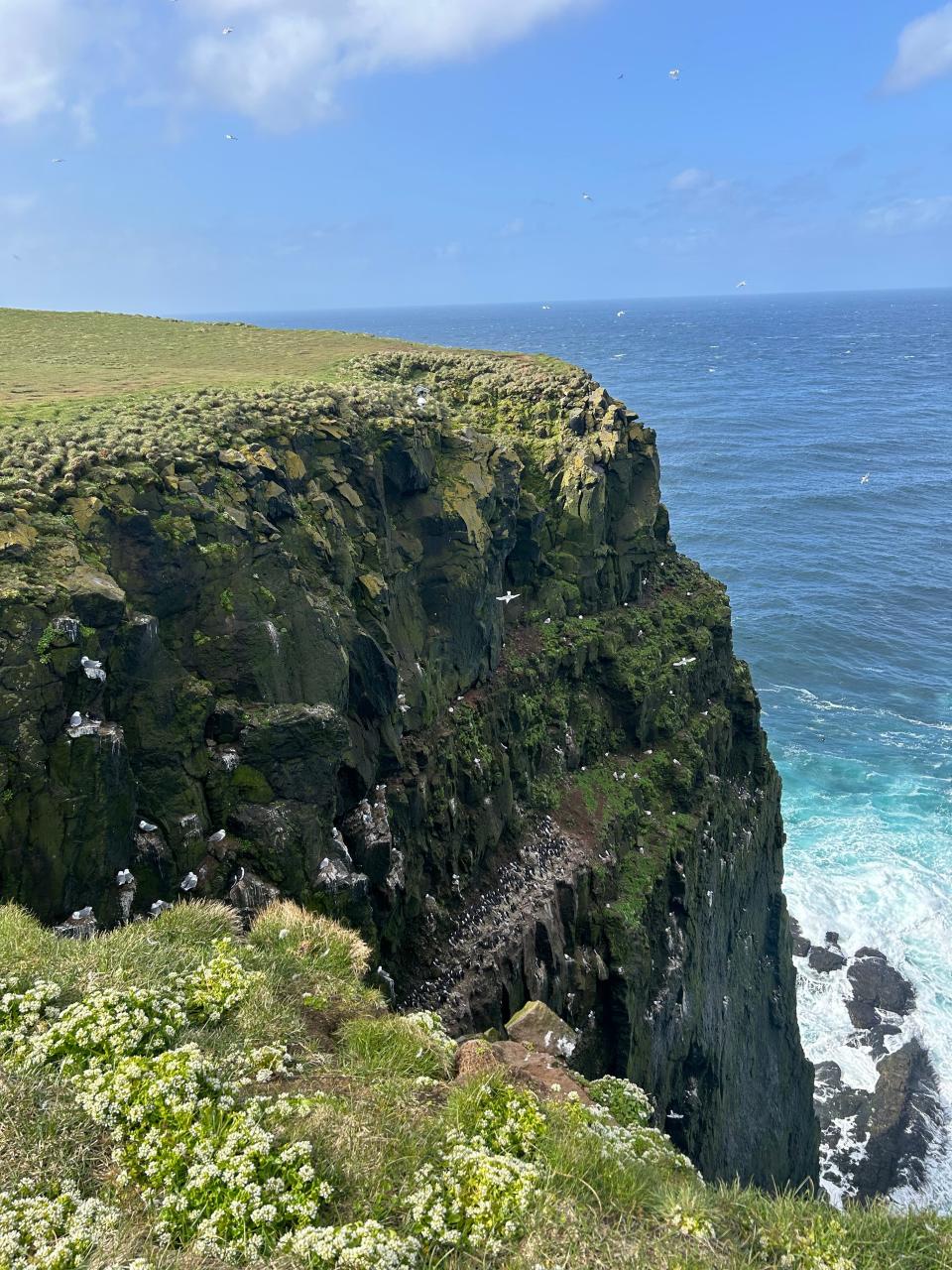 Pufubjarg bird cliff in Látrabjarg, Iceland.