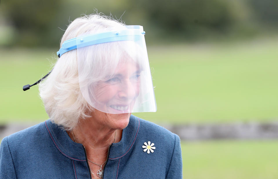 MILTON KEYNES, ENGLAND - SEPTEMBER 09:  Camilla, Duchess of Cornwall, Patron of Medical Detection Dogs, wears a visor during a visit to the charity’s training centre where trials are currently underway to determine whether dogs can act as a diagnostic tool of COVID-19 on September 09, 2020 in Milton Keynes, England. (Photo by Chris Jackson - WPA Pool/Getty Images)