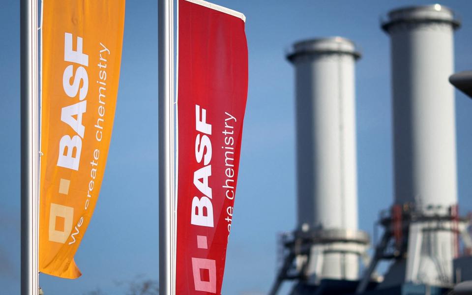 BASF chemicals Germany - Daniel ROLAND / AFP